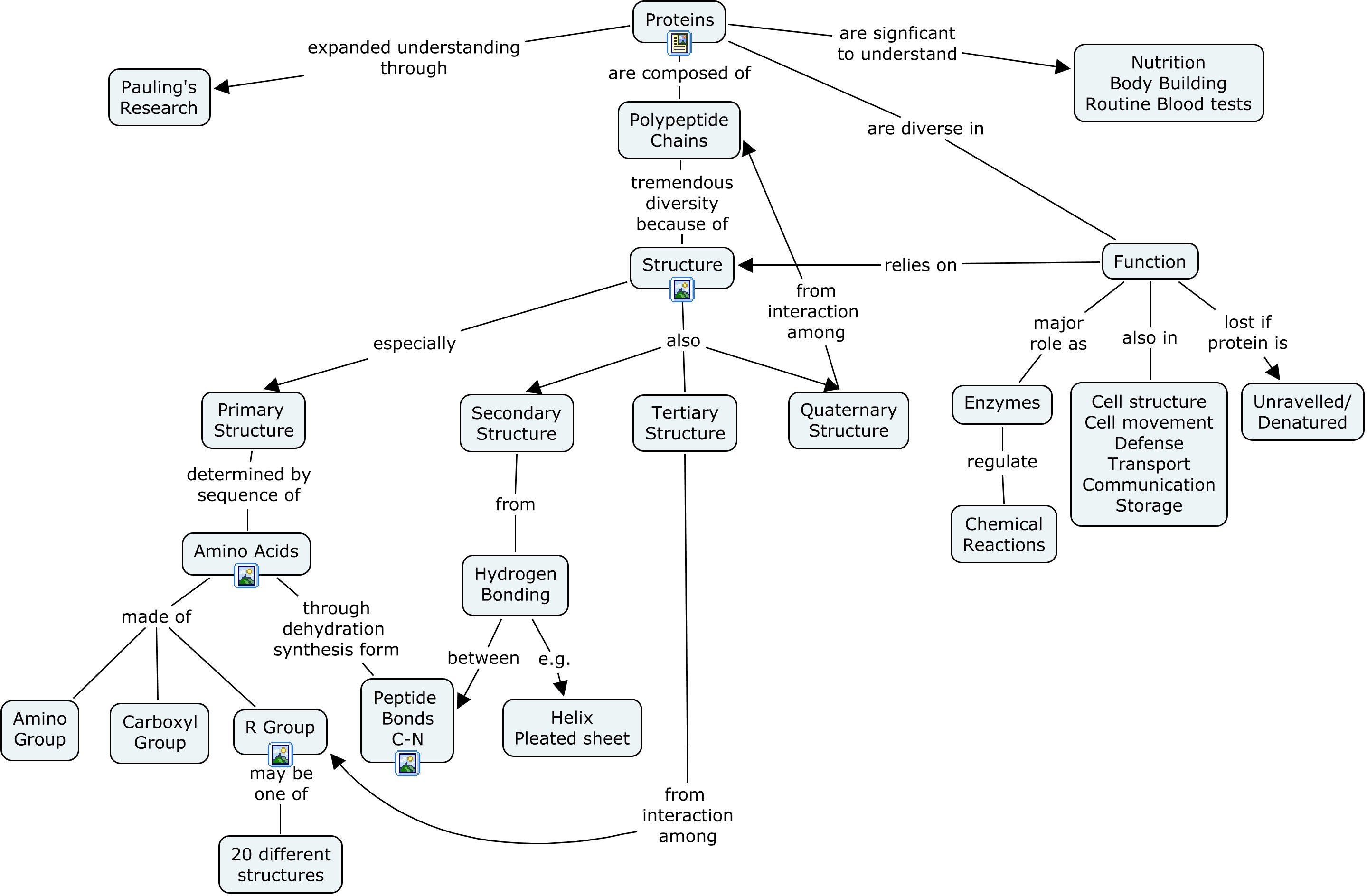 Nucleic Acid Concept Map Answers Map